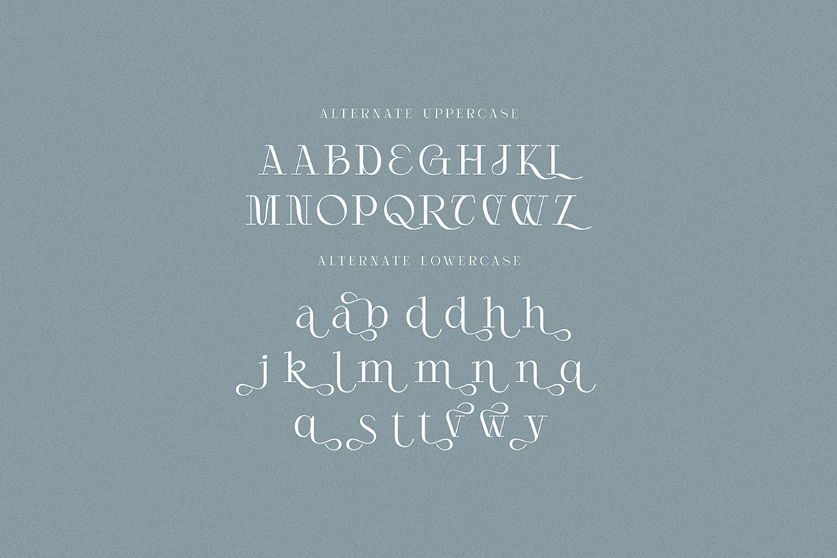 Agican Elegant Serif, a Serif Font by Cruzine (Photo 7 of 9)