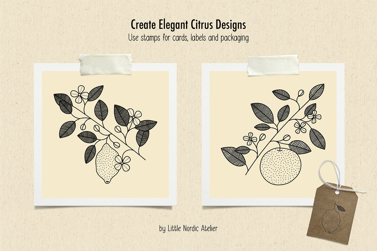 Citrus Botanicals Procreate Stamps, a Brush Add-On by Little Nordic Atelier (Photo 3 of 6)