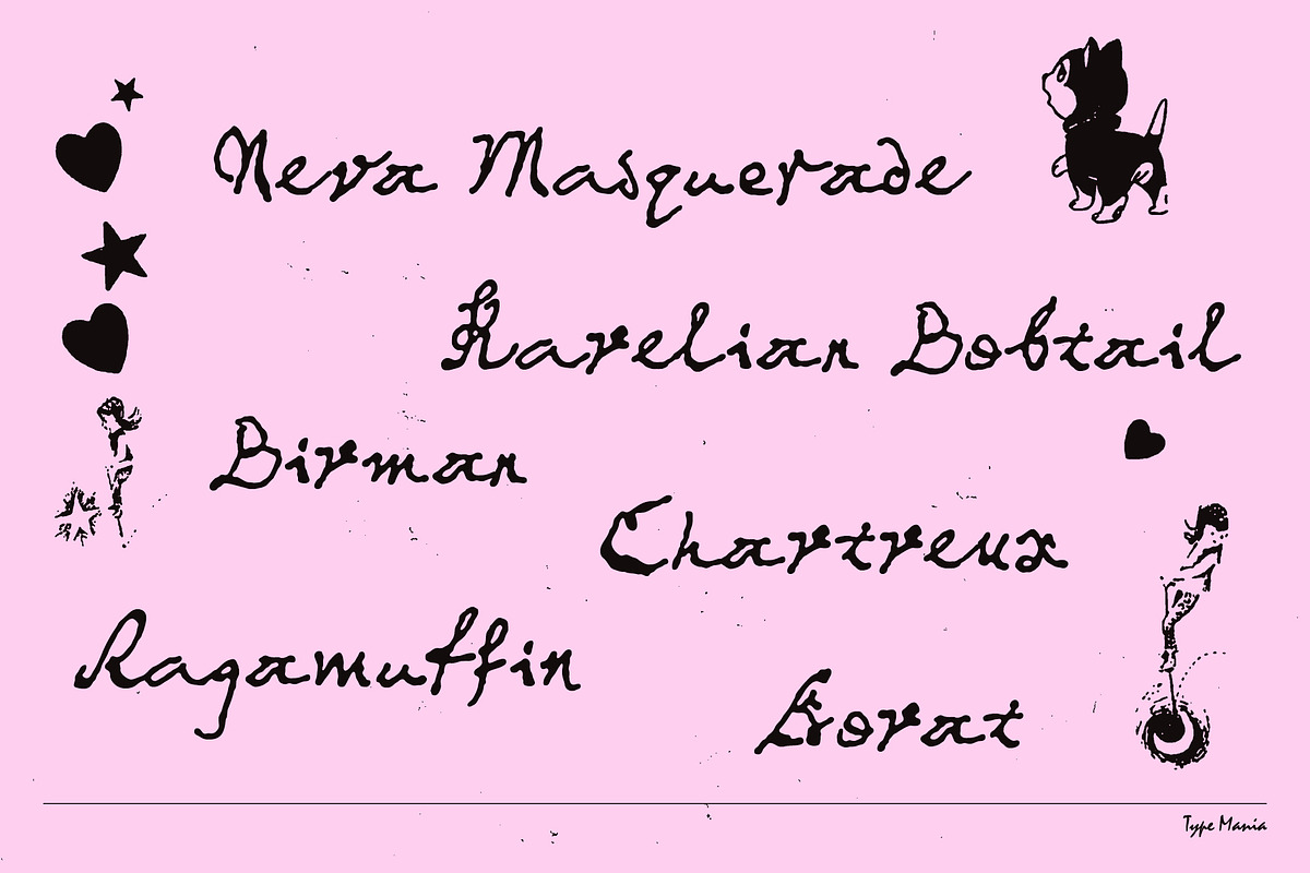 Blush TM – Messy Dynamic Script, a Handwritten Font by Type Mania (Photo 2 of 12)