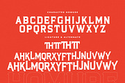 Homure New Display Serif Font, a Serif Font by Storytype Studio (Thumbnail 13 of 15)