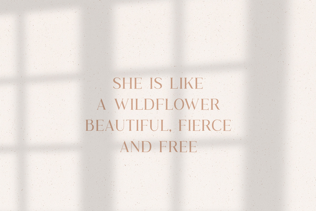 Wild & Folk Serif Font preview 3