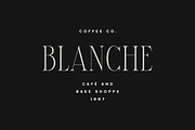 Elantrae & Velto – Modern Font Duo, a Serif Font by Only Fonts (Thumbnail 4 of 10)