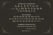 Chartenz Font, a Serif Font by Haws.std (Thumbnail 5 of 5)