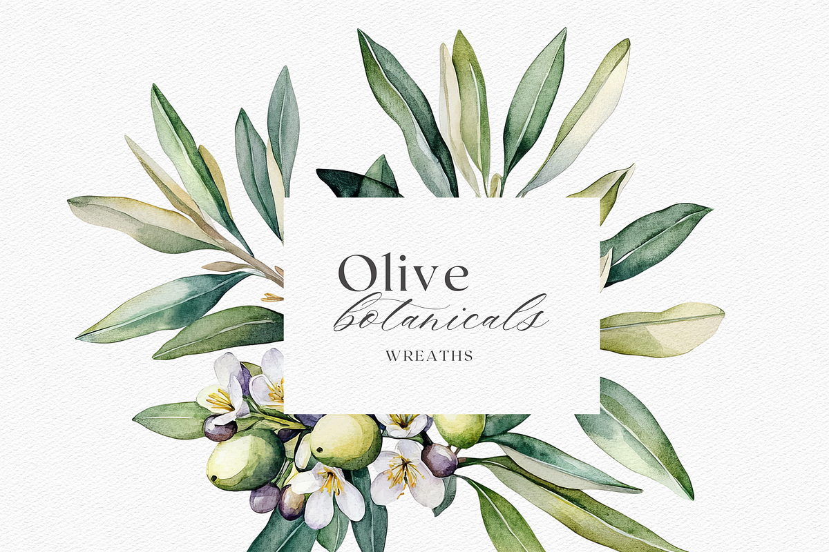 Olive Botanicals – Watercolor, a Decorative Illustration by ThaismotaCreativeCo (Photo 5 of 9)