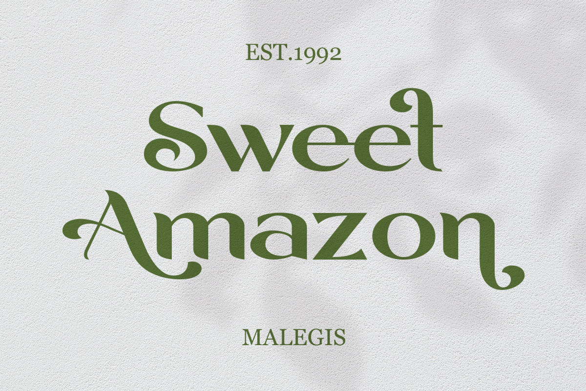 Malegis, a Sans Serif Font by Skypia (Photo 5 of 13)