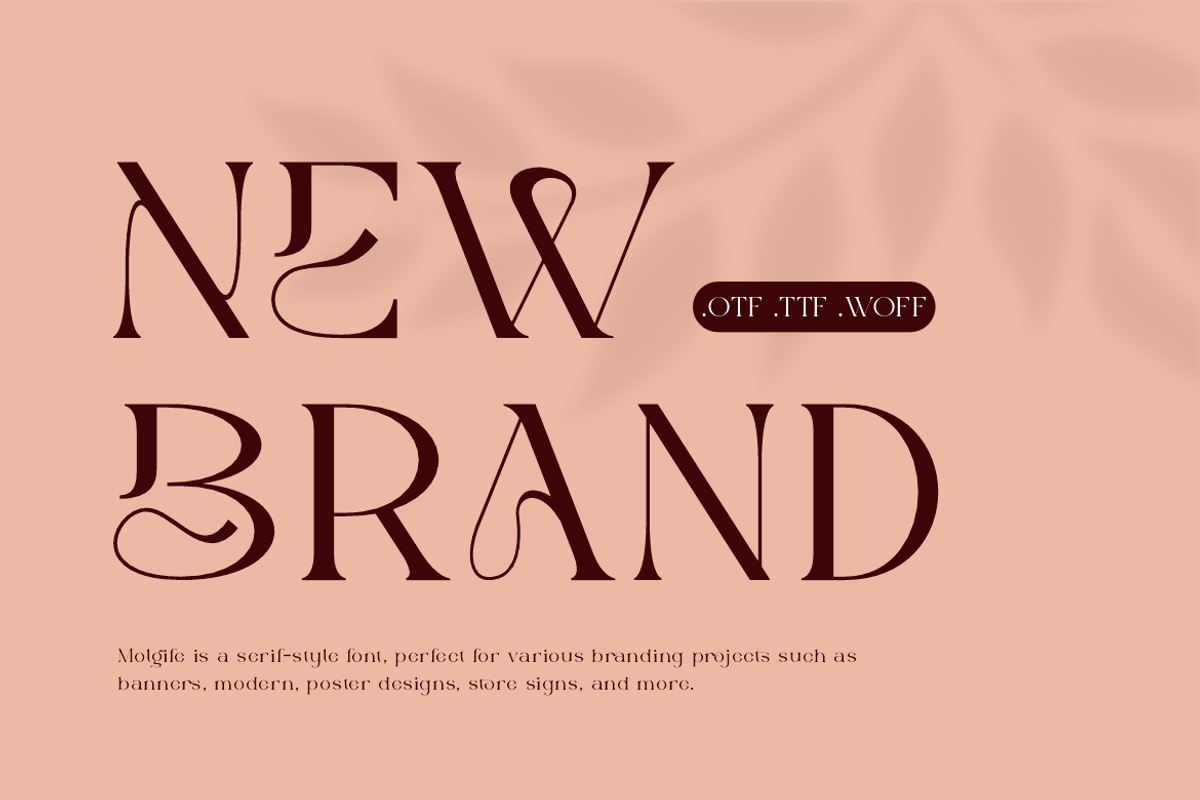 Molgife - Fashion Brand Font, a Serif Font by Iqsiart Studio (Photo 5 of 15)