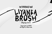 Liyanea Brush Display Font, a Handwritten Font by mesuka (Thumbnail 1 of 5)