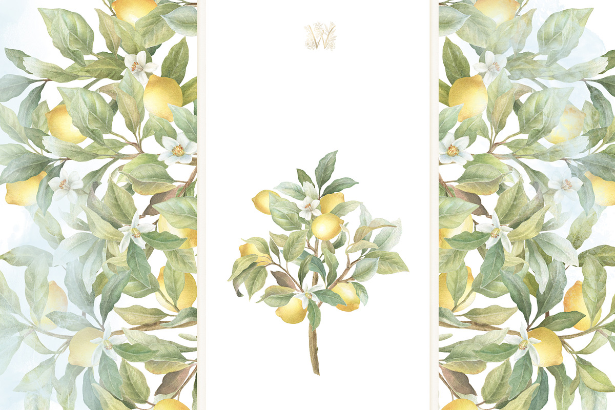 Lemon Watercolor Amalfi Collection, a Decorative Illustration by WonderWonder (Photo 11 of 18)