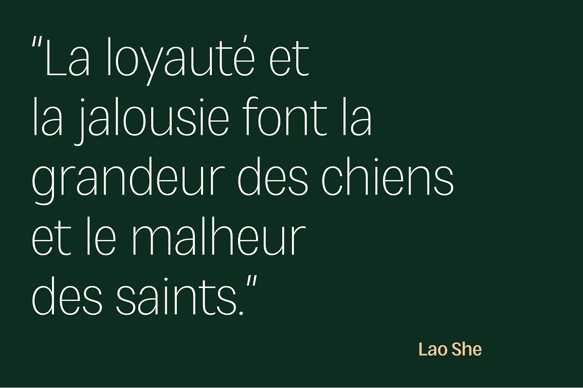 Loyauté, a Sans Serif Font by OceaneM (Photo 6 of 7)
