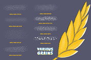 Whole Grain Brushes for Procreate, a Brush Add-On by Guerillacraft (Thumbnail 7 of 7)