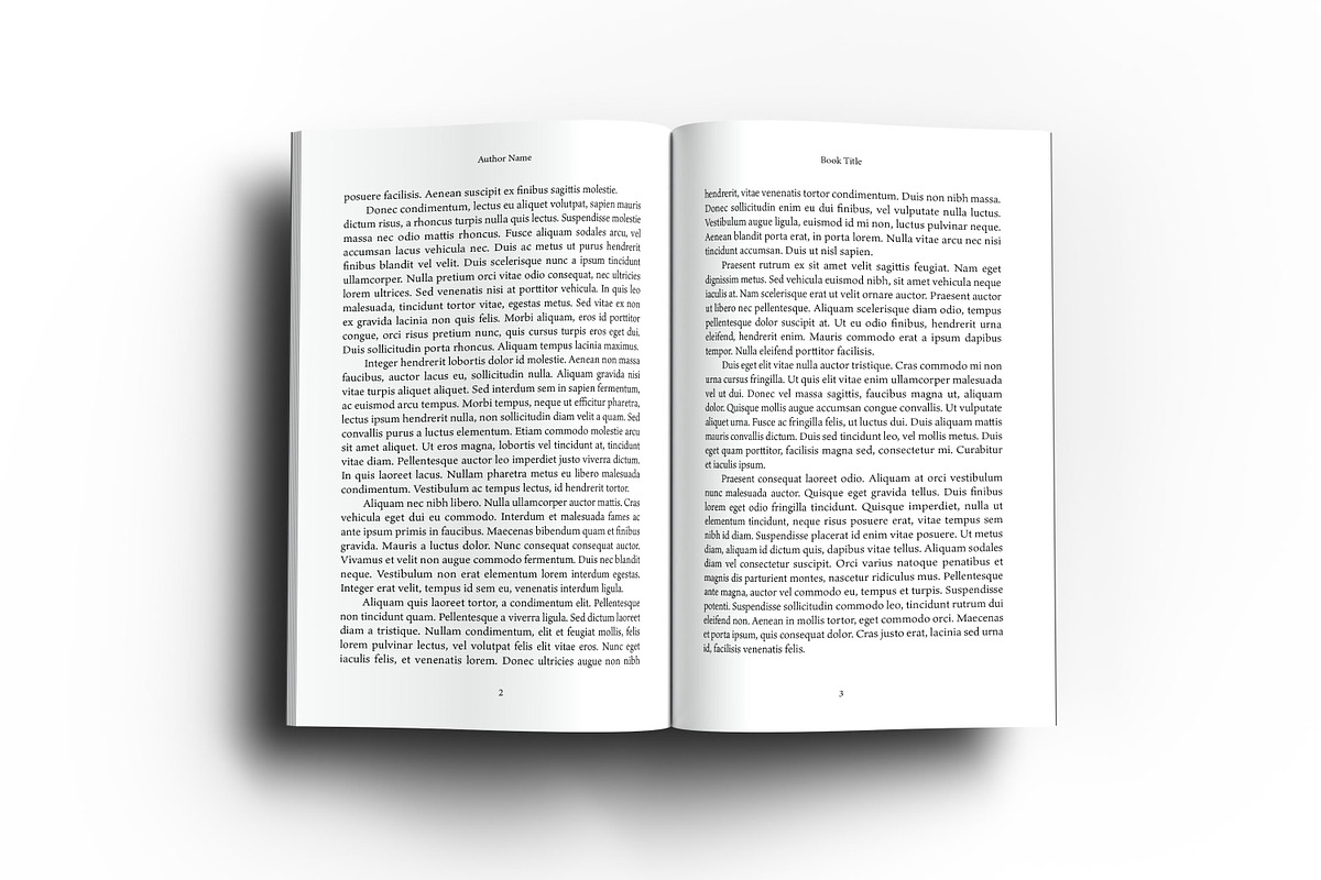 6 x 9 Adobe Indesign Book Template preview 8