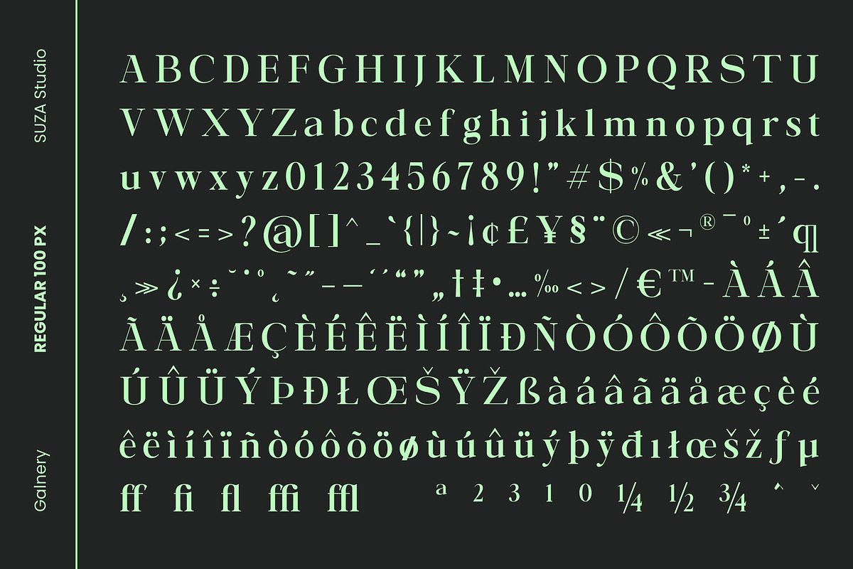 Galnery, a Serif Font by Suza Studio (Photo 12 of 13)