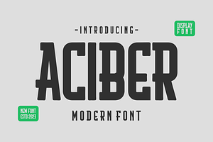 Aciber - Slab Serif Font, a Slab Serif Font by lelevien