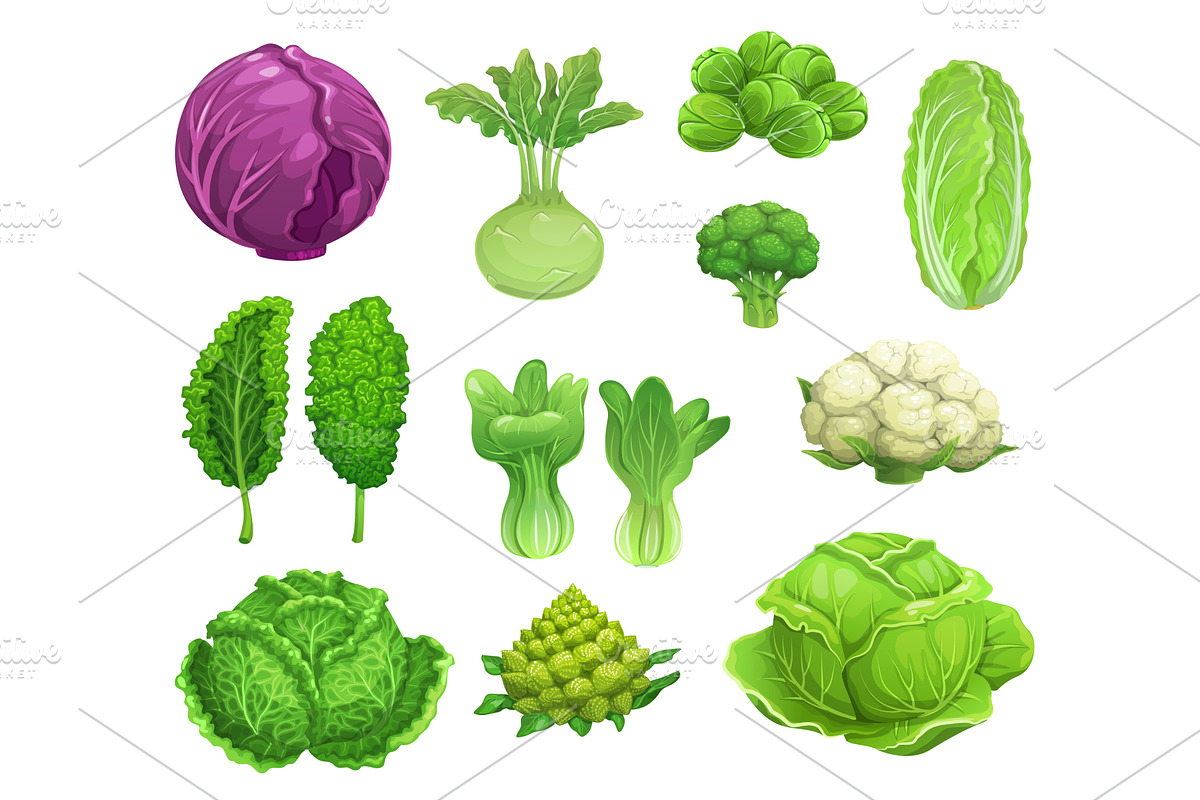 Cartoon cabbage and cauliflower, a Food Illustration by Vector Tradition