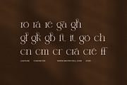 Maghire Elegant Serif Font, a Serif Font by Elegant Font (Thumbnail 7 of 8)