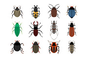 Insects, an Object Graphic by ianakauri (Thumbnail 3 of 4)