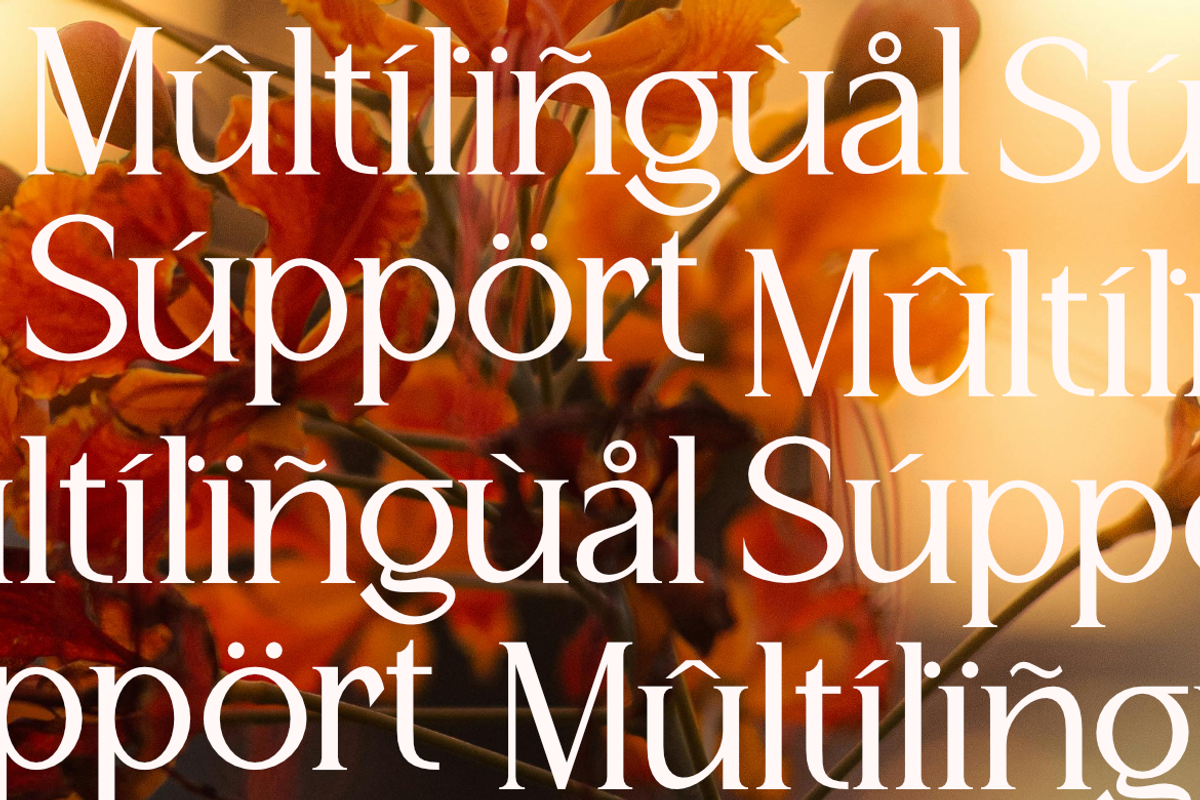Eternal Bloom - Modern Serif Font, a Serif Font by Masyafi Studio (Photo 8 of 9)