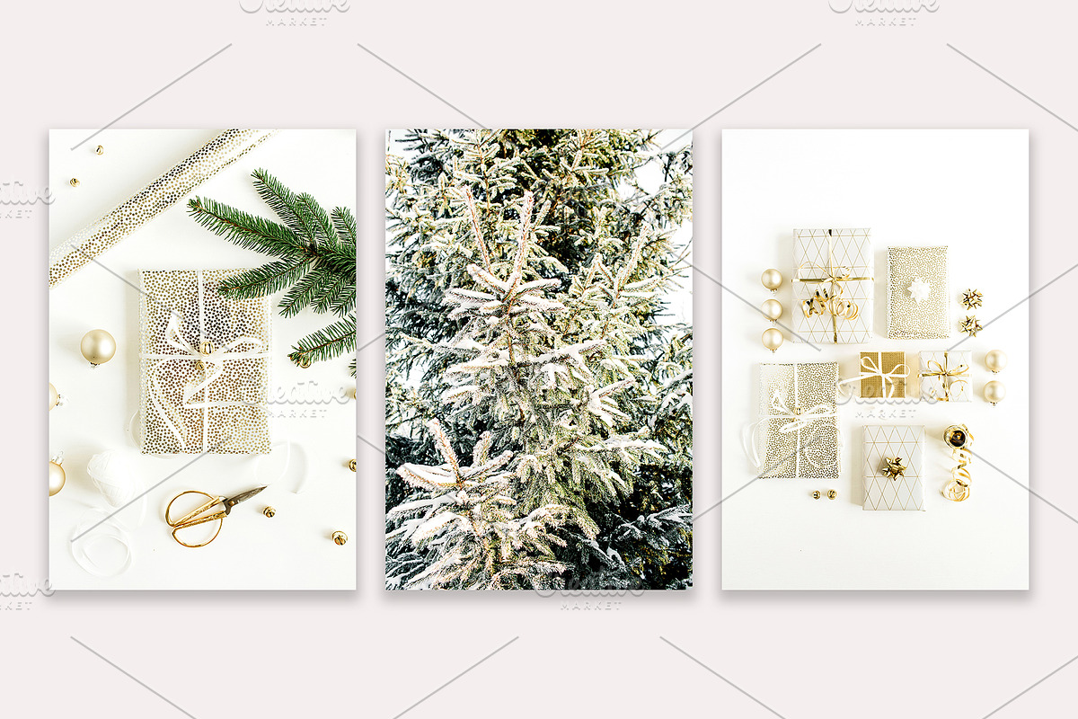 Christmas Bundle 4, a Holiday Photo by Floral Deco (Photo 6 of 7)