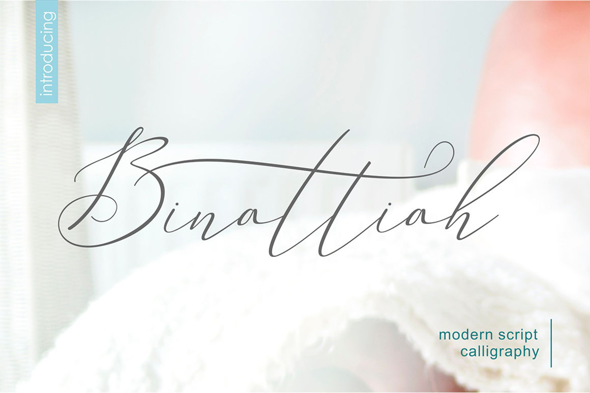 Swashy Font Bundle, a Script Font by Sulthan Studio