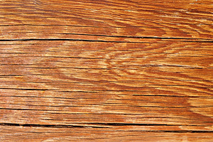 Log texture, a Photo by saiko3p
