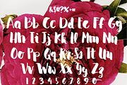 COREY Hand Lettered Font, a Handwritten Font by Rhonna Designs (Thumbnail 3 of 3)