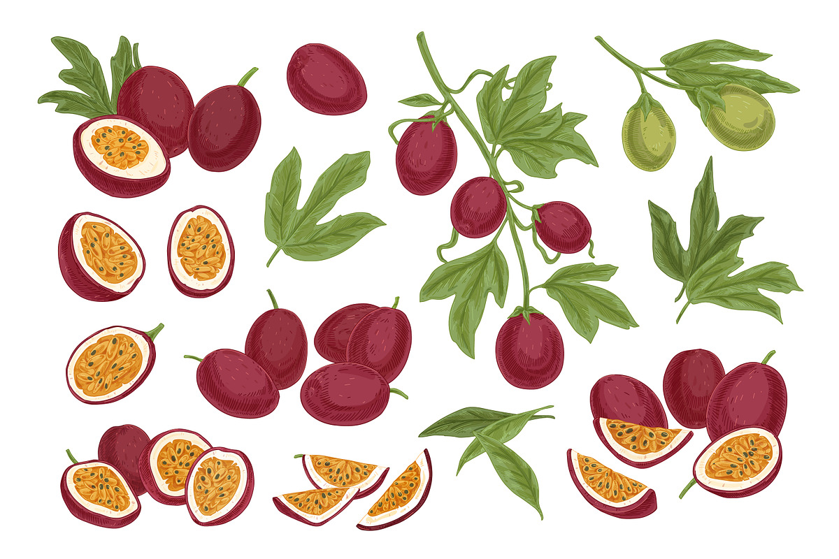 Exotic passion fruit, hand-drawn set, a Food Illustration by Good Studio (Photo 2 of 3)