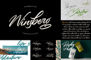 The MEGA FONT COLLECTIONS 2021, a Serif Font by Garisman Std (Thumbnail 28 of 52)