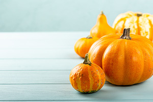 Autumn pumpkin thanksgiving featuring autumn, background, and squash