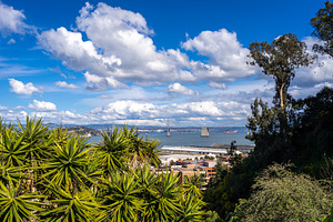 Panoramic view of San Francisco Bay and lush greenery, USA, a Nature Photo by GoodGoods