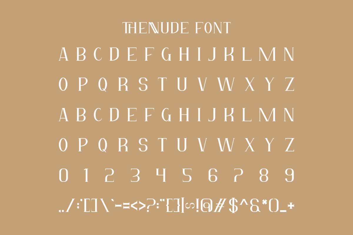 Thennude - Minimal Serif Font, a Serif Font by Iqsiart Studio (Photo 5 of 7)