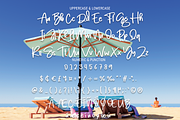 Flamingo | Script Font, a Script Font by Scratchones (Thumbnail 8 of 8)