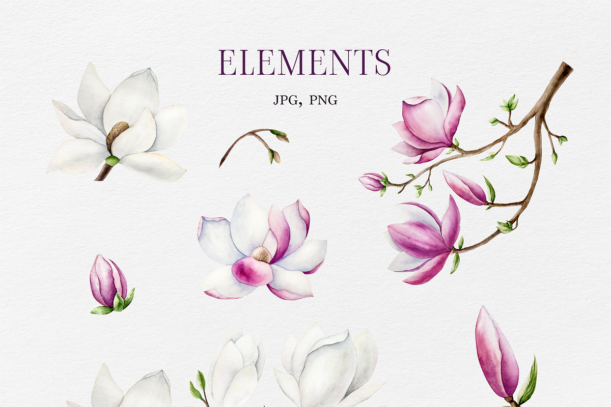 MAGNOLIA - Watercolor collection, a Decorative Illustration by Navenzeles (Photo 4 of 13)
