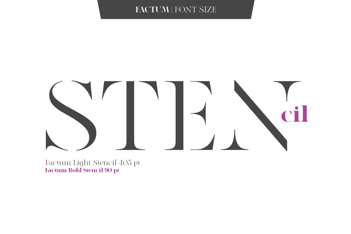 Factum font family, a Serif Font by Fontop (Photo 9 of 12)