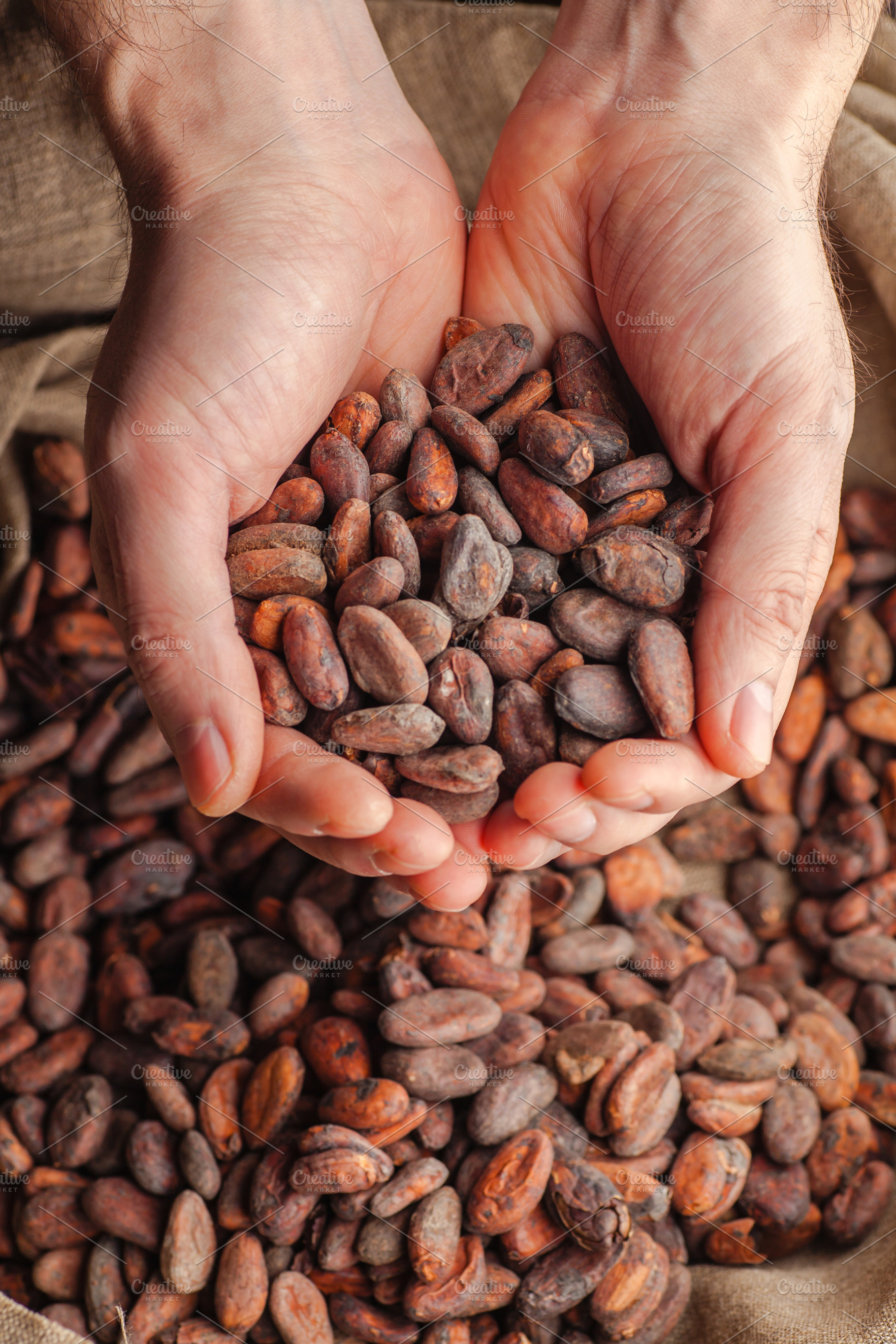 Hands holding raw cocoa beans, a Food & Drink Photo by Hidden Hallow