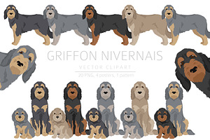 Griffon Nivernais dog clip art, a Background Graphic by pet design shop