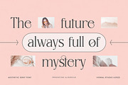 Aligers - Modern Font, a Serif Font by Viswal Studio (Thumbnail 3 of 5)