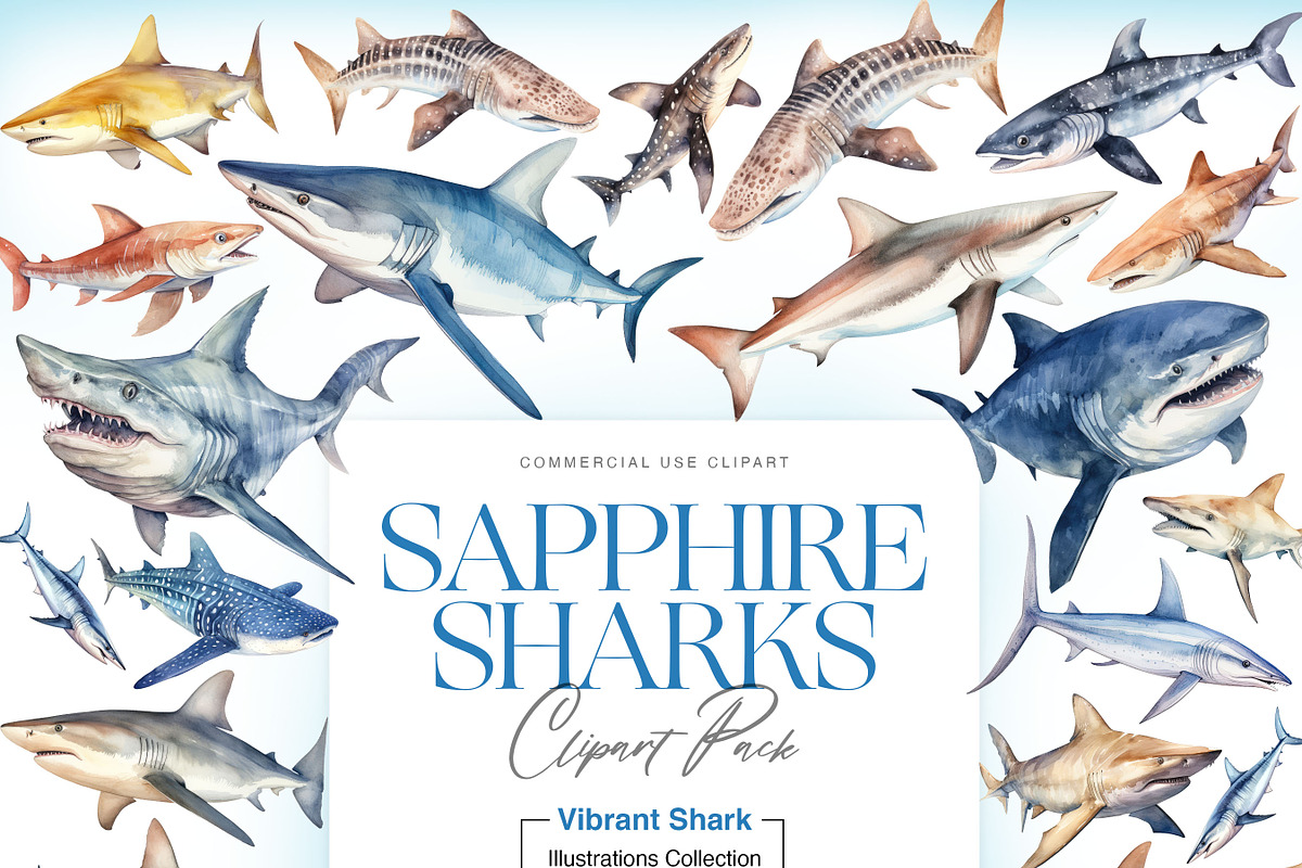 Watercolor Shark Clipart, Shark PNG, an Animal Illustration by BrushstrokeArtGB (Photo 1 of 9)