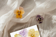 SPRING BOX Watercolor Bundle 400+, a Decorative Illustration by Muse Artist (Thumbnail 43 of 99)