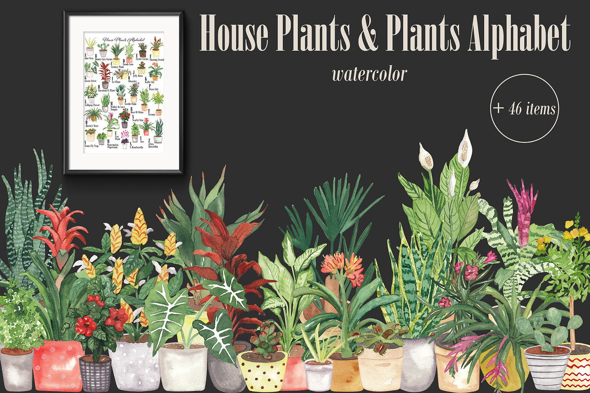 House Plants Alphabet and Clipart, a Decorative Illustration by Visual Animal (Photo 1 of 6)