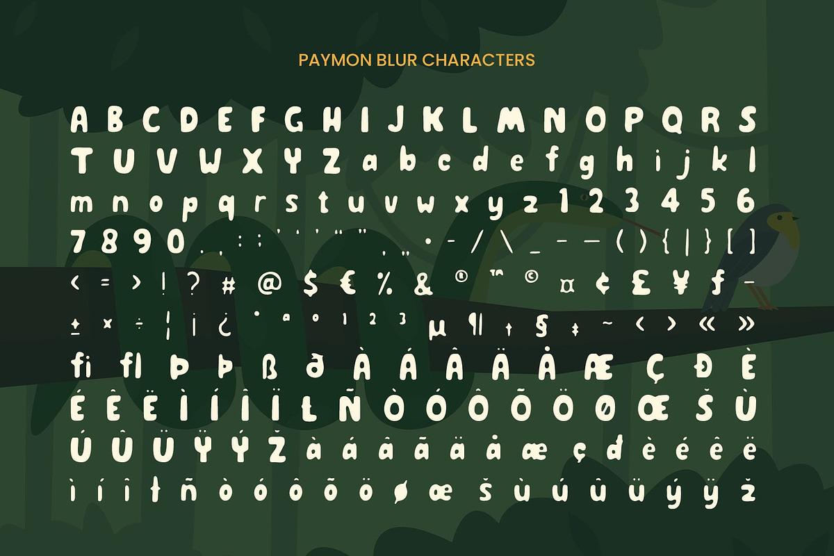Paymon Blur, a Sans Serif Font by Craft Supply Co. (Photo 8 of 8)