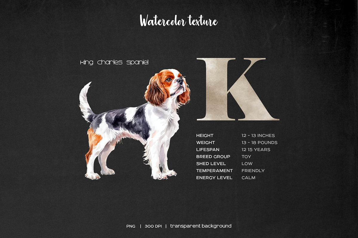Watercolor alphabet dog breeds set, an Animal Illustration by Art and Funny (Photo 4 of 5)