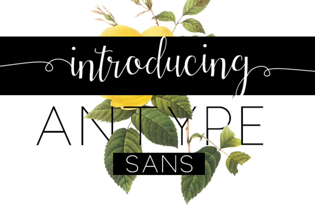 Antype Script And Sans preview 6