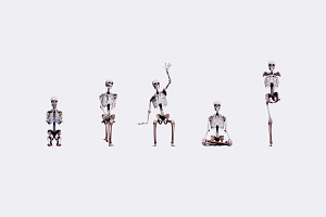 Low Poly Human Skeleton 40 Poses