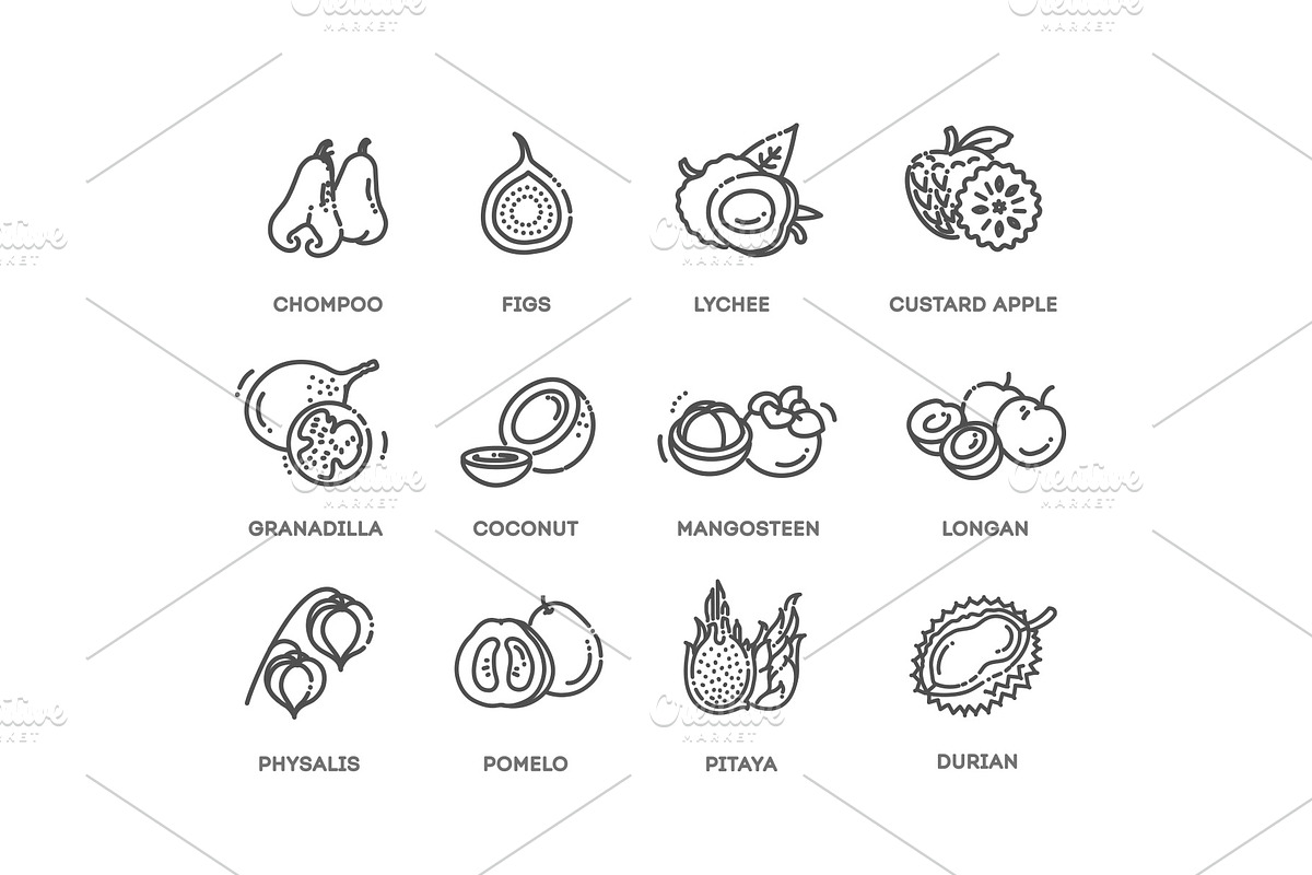 Fruits, Exotic Fruits icons, a Food Illustration by Tettygreen (Photo 3 of 3)