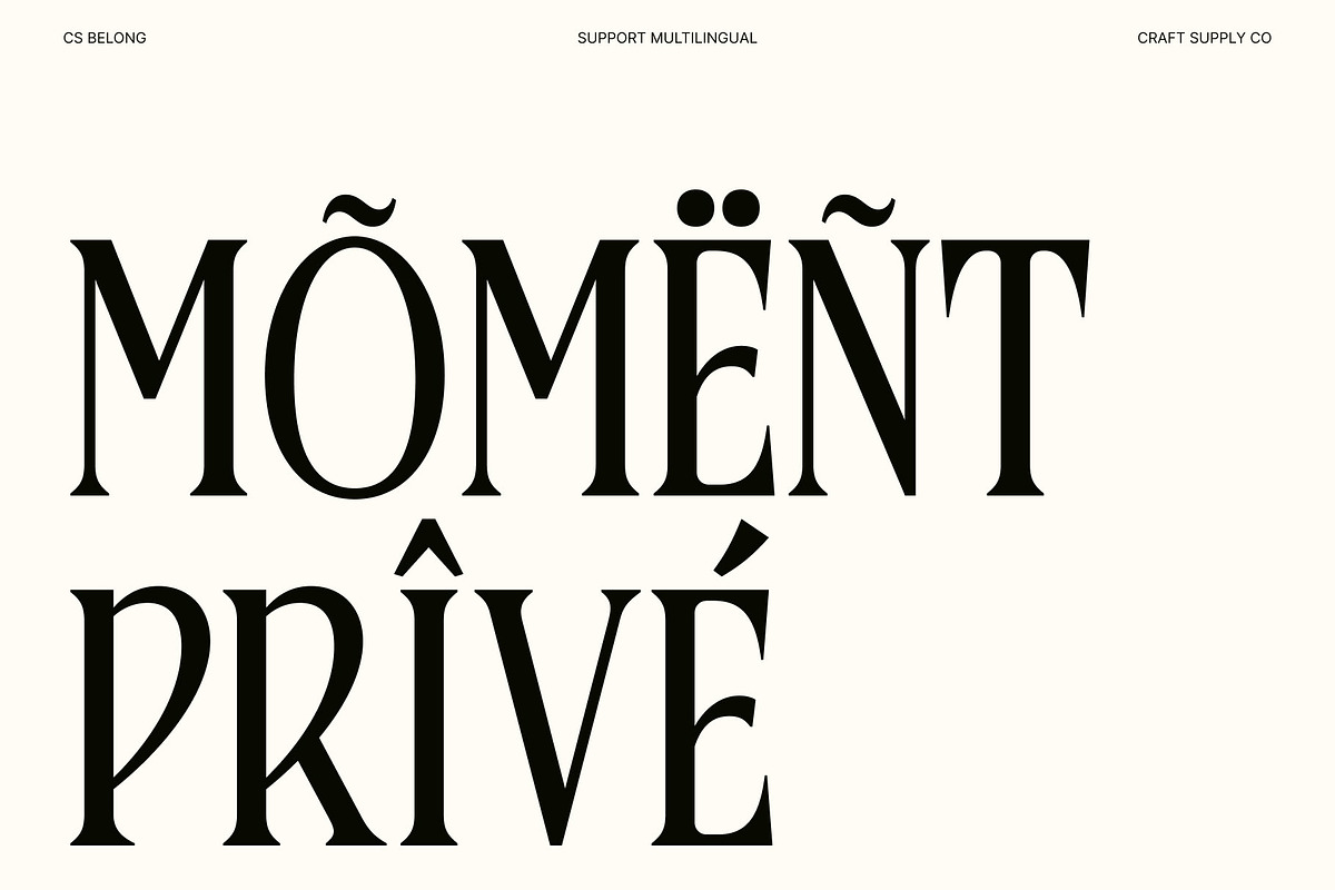CS Belong – Contemporary Font, a Serif Font by Craft Supply Co. (Photo 6 of 8)