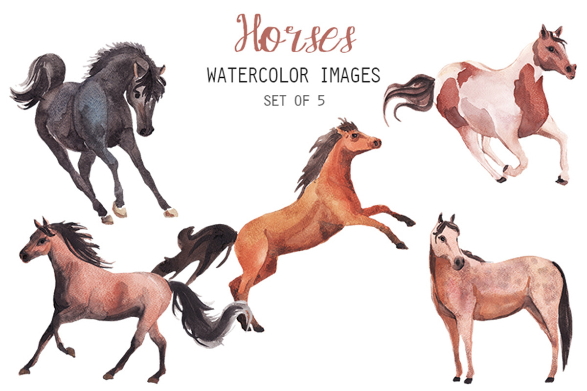 Watercolor Horses Clipart, an Animal Illustration by YesFoxy
