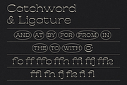 Giant - Ligature Serif Font, a Serif Font by Luna Shop (Thumbnail 7 of 10)