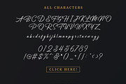 Birmingham - Signature Script, a Script Font by Letterhend Studio (Thumbnail 10 of 10)