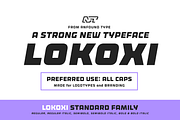 Lokoxi - Standard Family, a Sans Serif Font by Anfound Type (Thumbnail 1 of 14)
