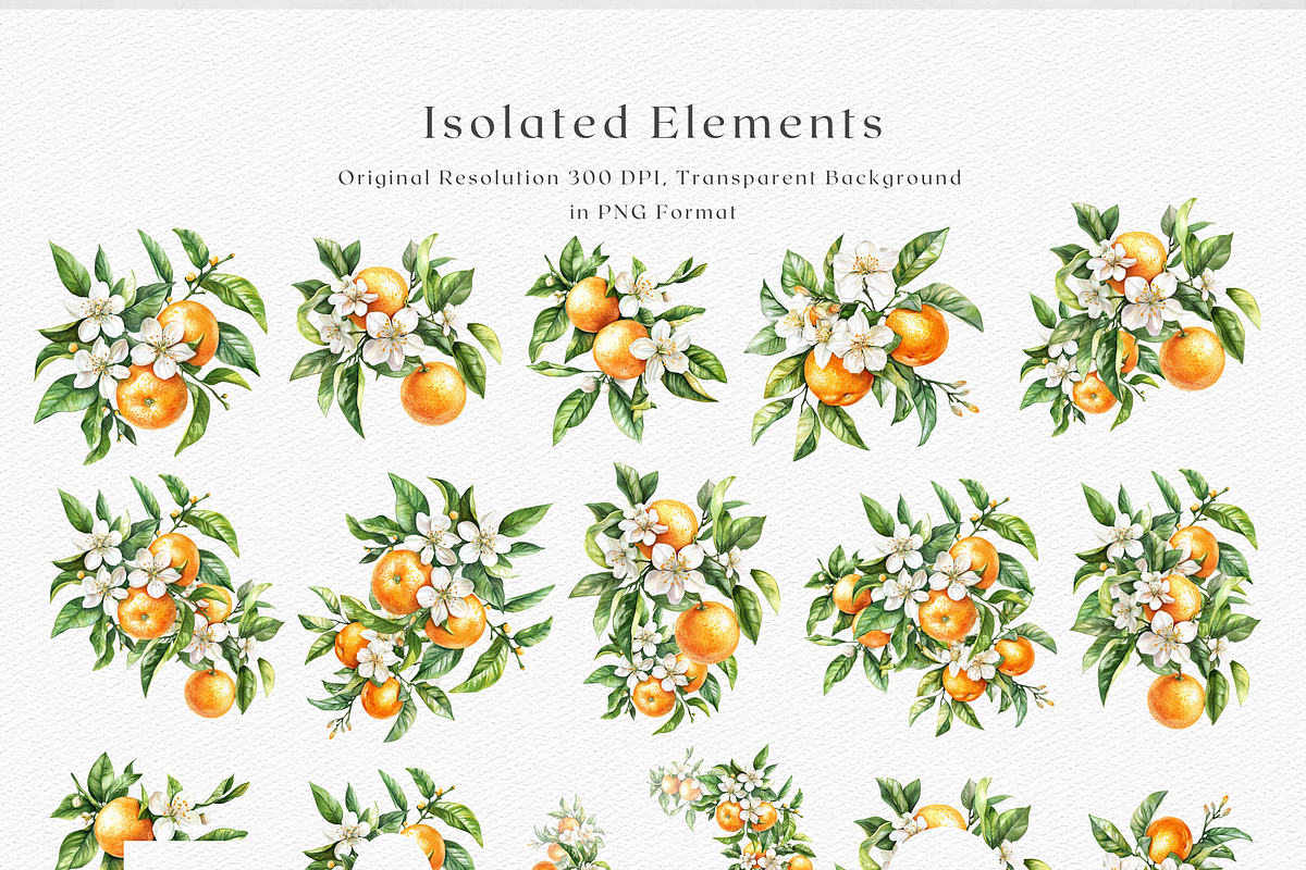Orange Blossom - Watercolor Set, a Decorative Illustration by ThaismotaCreativeCo (Photo 8 of 9)
